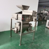 Fruitpulp-extractor, fruitpulp- en zaadseparatiemachine, mangopulp-machine, machine voor enkelvoudige kernverwijdering en -beating.