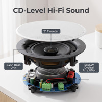 Système de haut-parleurs de plafond actifs WiFi intelligents avec amplificateur numérique de classe D, contrôle multi-pièces via application