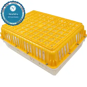 Guangzhou Poultry Chicken Transport Coop Plastic Live Chicken Transport Cage