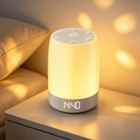 Mesin Suara White Noise untuk Desktop, Lampu Malam RGB, Speaker, Jam Alarm Digital untuk Penggunaan Santai di Rumah
