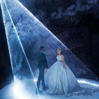 Mariée fête Disco scène Animation Lazer Dj SFX mariage fiançailles mariage spectacle de lumière Laser 3w 5w 10w ILDA Laser neige projecteur
