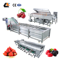 Aardbeienreinigingsapparatuur, fruit- en knoflooksorteerder, kiwi-reinigingsmachine, appel- en passievruchtwas-, sorteer- en kalibratielijn