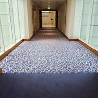 Moquette Axminster résistante aux taches, revêtement de sol tissé pour couloirs d'hôtel, chambres d'hôtes, allées et zones à fort trafic