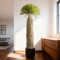 Arbre artificiel de dracaena en herbe, fabriqué en usine, écologique et durable pour l'extérieur, hôtels, familles, remises de diplômes, Noël