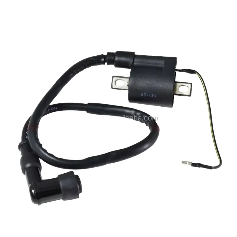 Smash 110 Motorcycle Ignition Coil For Smash XLS125 RX150 FT150
