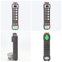 Télécommande de grue à 10 boutons, simple vitesse, avec verrouillage par empreinte digitale, 100 utilisateurs enregistrés, certifiée CE IP66