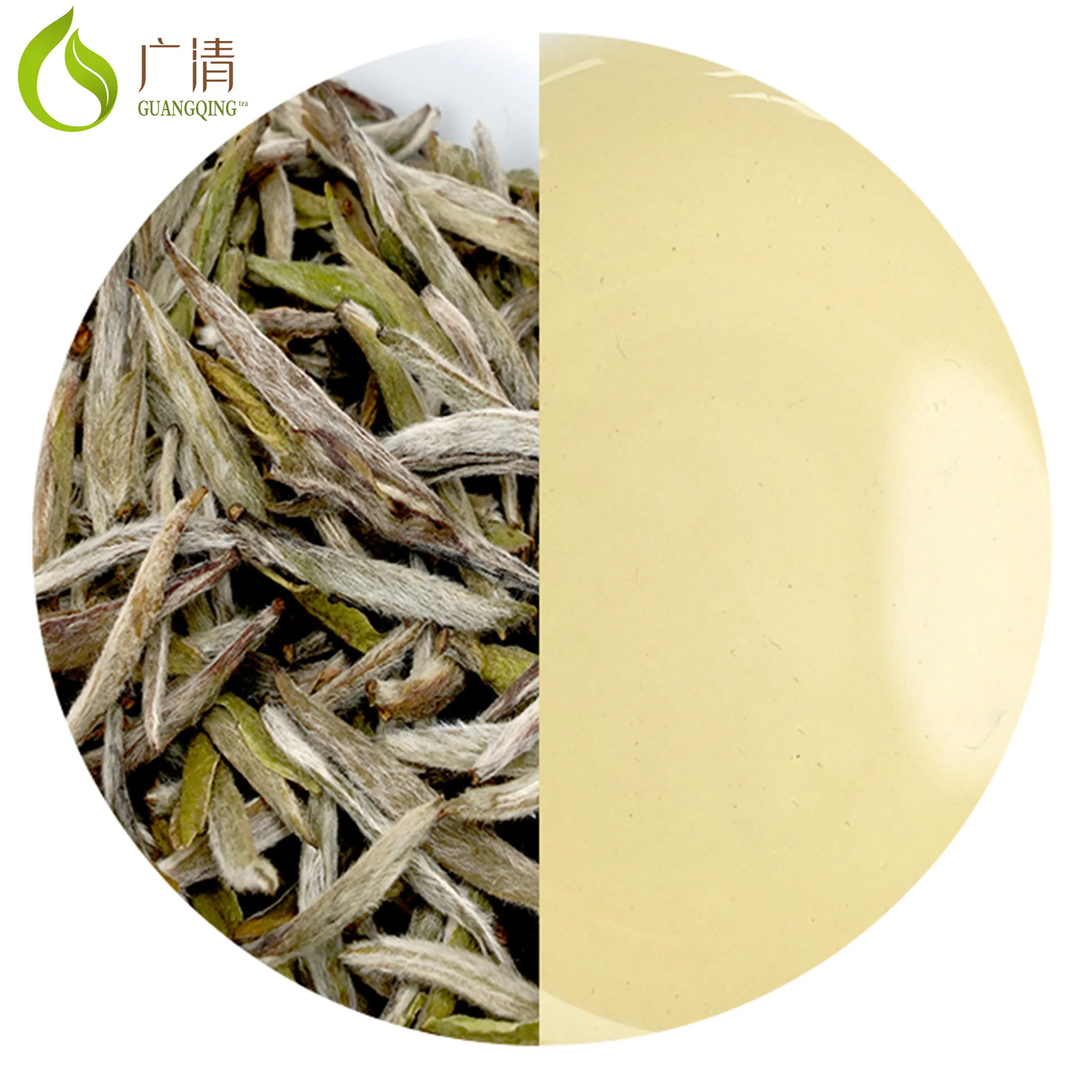 GUANGQING Early Spring Season Healthy Top Grade Fresh Loose tea of White Silver Needle From High Mountain
