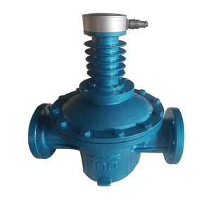 عداد تدفق بيضاوي الشكل من الفولاذ المقاوم للصدأ/الحديد الزهر مع شاشة رقمية، أداة قياس مستوى الديزل مع مخرج - Product Image 2