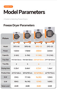 10kg gıda vakum donmalı kurutucu kurutulmuş meyve dondurma kuru ekipman ev donmalı kurutucu satılık - Product Image 4