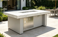 Table de repas avec foyer au gaz propane de 55000 BTU en acier inoxydable, commande par bouton, protection haute pression, facile à assembler