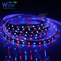 Bande LED Flexible SMD 5050 WS2815 12V RGB Adressable, Contrôle Vocal Facile, Couleurs Automatiques, PC/PVC pour Certification