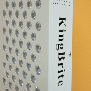 KingBrite mesin terapi cahaya RLP200 PDT, 5 panjang gelombang berdiri Panel lampu terapi merah untuk menghilangkan nyeri tubuh penuh