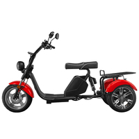 2022 sıcak satış taşıma 1000w 3 tekerlekli elektrikli üç tekerlekli motosiklet yetişkinler için