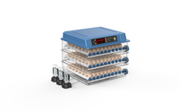 Incubateur d'œufs intelligent, mini-machine d'éclosion pour volailles, pour poulets