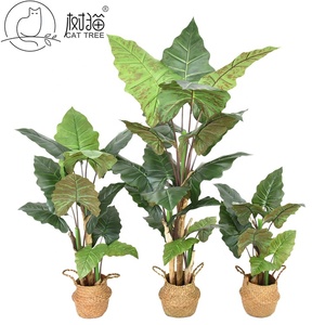 Arbre artificiel <span class=keywords><strong>Arum</strong></span> à grandes feuilles, aspect réaliste, vente en gros d'usine, pour décoration d'événements - Product Image 1