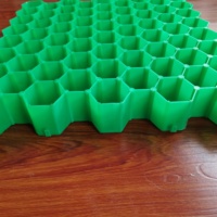 Grille de stationnement Grille de gravier Grille de pavé d'herbe en plastique HDPE