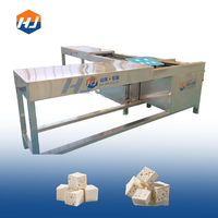 Tofu congelé entièrement automatique à haute efficacité formant et découpant des machines de traitement de produit de haricot de machine