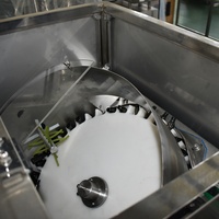 Table tournante de tri et d'alimentation automatique certifiée CE pour débouleuse de bouteilles rotative, pour contenants en plastique et en verre