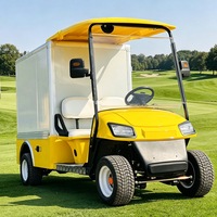 Carrito de Golf Eléctrico Premium para Flotas con Asientos Personalizados de Marca Privada y Caja de Carga