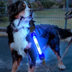 LaRoo luxury pet supplies Flashing Recharge Luminous led Collar Anti-Lost Light band For Pet safety walking at night