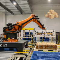 Ligne de palettiseur de machine d'emballage automatique personnalisée en usine de Leadworld prix de robot de palettisation empileur de robot