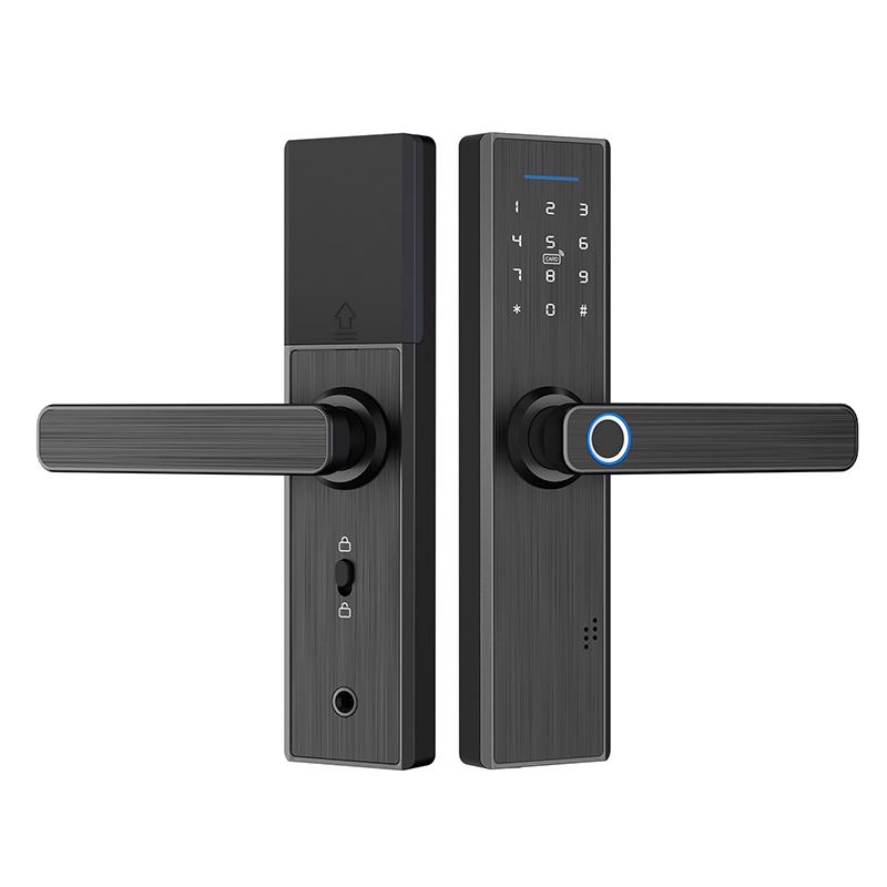 Smart Tuya Aluminum Alloy Door Lock with Digital Fingerprint Password Card Key APP Unlock for Home Security · image 3