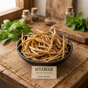 Raíz de Shatavari Premium | Ingrediente Herbal Ayurvédico Natural para Suplementos de Bienestar, Nutracéuticos y Suministro Global a Granel para Exportación - Product Image 5