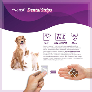 Bandes buccales dentaires pour animaux de compagnie OEM/ODM - Produits de beauté naturels et végétaliens pour une haleine fraîche et des dents saines, soutien digestif, échantillon gratuit - Product Image 2