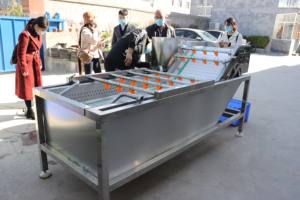 Kunststoff Sus304 Kleine Kartoffel waschen Tomatenmark Paste Verarbeitung anlage Granatapfel Waschmaschine Ausrüstung Wasser blase Ram butan Reinigung - Product Image 3