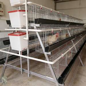 คู่มือการติดตั้งโรงเรือนเลี้ยงไก่แบบต่างๆ ในราคาที่แข่งขันได้  โรงเรือนเลี้ยงไก่  กรงไก่  กรงไก่เนื้อ เหมาะสำหรับพื้นที่เขตร้อน - Product Image 1