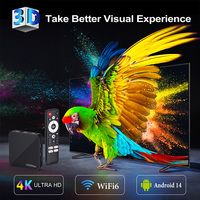 OEM ODM 100M Ethernet Android ATV Box H96max H313 Wifi 6 Tv Box 2G RAM 16G ROM Android Tv Box avec télécommande vocale