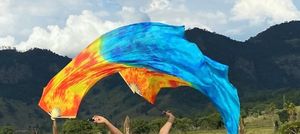 Spinning culte louange ventilateur Pois réglable coloré danse du ventre soie ventilateur Poi voile - Product Image 5