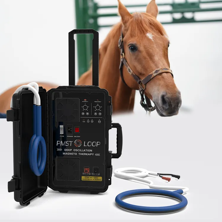 Bác sĩ thú y vật lý phương pháp điều trị pmst Vòng cải thiện ngựa lameness và colic Magneto trị liệu làm cho ngựa ở trong sức khỏe