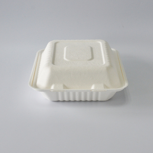 Takeaway Box Eco-friendly Compostable 3 Compartment 8 Inch Sugarcane Takeaway Box For Food Packaging In Restaurant/Hotel