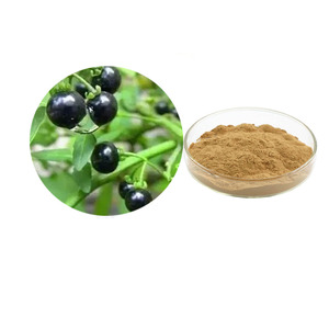 Natürlicher Solanumnigrum-Extrakt Gartenheidelbeer-Extrakt Herba Solani Nigri Extrakt 20:1 - Product Image 1