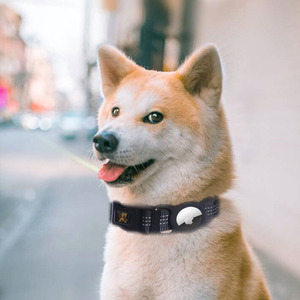 Collares de moda para mascotas, collares protectores clásicos para perros Airtag - Product Image 5