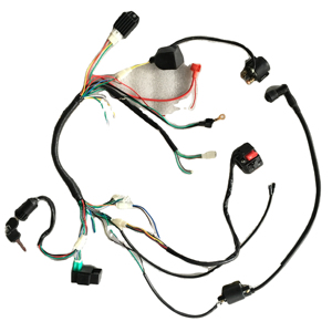ชุดสายรัดสายไฟฟ้าสำหรับรถ ATV 50-125cc รถ ATV รถโกคาร์ท <span class=keywords><strong>Taotao</strong></span> Kazuma - Product Image 1