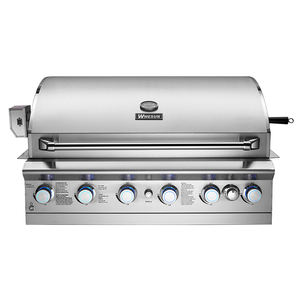 Премиум роскошный корейский стиль уличный кухонный газовый барбекю гриль с решеткой из нержавеющей стали и 6 горелок - Product Image 1