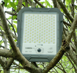 Reflector Solar de 30W para Estacionamiento, Jardín, Piscina, Camino, CCTV, LED WD-BW100C, Reflector LED Solar de 30W WD-BW100C - Product Image 5