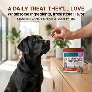 Vet Immune Chews for Dogs Soft Chews Soutient la santé du foie énergétique avec queue de dinde Reishi Milk Thistle Shiny Coat Supplément pour animaux de compagnie - Product Image 5