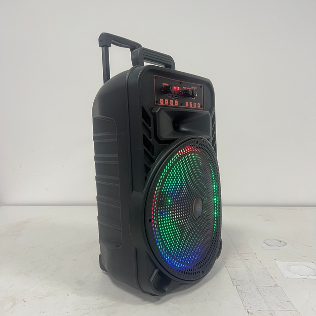 12-inch 20W Outdoor Portable Wireless Karaoke Speaker 1 Mic RGB Lights Bass Bt USB FM Radio Party Trolley Telescopic Handle