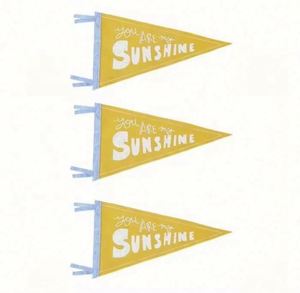 Professional Customizable Digital Printing University Felt Triangle <b>Banners</b> Portable Waterproof Eco-Friendly - Product Image 6