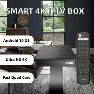 Décodeur 2026 Xtream Codes XC2 Allwinner H313 Android 10 2 Go 16 Go Double Wi-Fi 4K Smart TV Box Lecteur Multimédia <span class=keywords><strong>IPTV</strong></span> pour États-Unis et Allemagne - Product Image 6