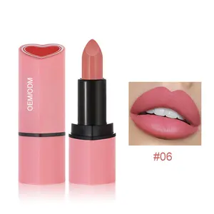 Logotipo personalizado de fábrica, lápiz labial de corazón bonito, lápiz labial de terciopelo para mujer, niebla mate, amor, tubo Rosa desnudo, lápiz labial de 6 colores