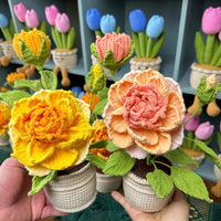 Fil de haute qualité Monique Darve Rose Pot plante artisanat Crochet romantique mariage décoration cadeau coloré fleur artificielle