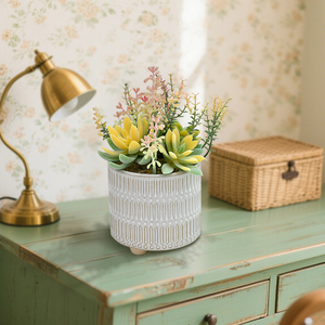 Piante Grasse Artificiali <span class=keywords><strong>in</strong></span> <span class=keywords><strong>Vaso</strong></span> - Decorazione Moderna ed Estetica per Casa, Pasqua, Primavera e Matrimoni - Product Image 6