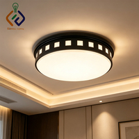 Fournisseur d'éclairage pour l'hôtellerie Hampton Kinetic/Scenic, luminaire de plafond encastré en acrylique de qualité commerciale pour couloir d'hôtel