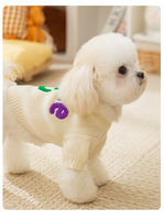 Abrigo de Invierno de Lujo para Perros y Gatos, Personalizado, Elegante, de Poliéster, para Cachorros de Chihuahua