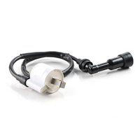 Ensemble de capuchon de bougie d'allumage de bobine d'allumage de moto pour BAJAJ BOXER CT100 Kawasaki CT150 CT 100 150 accessoires pièces de rechange