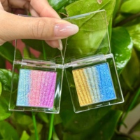 Private Label Regenbogen-Pigment Lidschatten-Puder Make-up Hochpigmentiertes Duochrome für Alle Hauttöne Kleine Größe Individueller Logo-Service